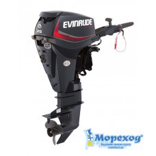 Лодочный мотор Evinrude E 25 DGTL
